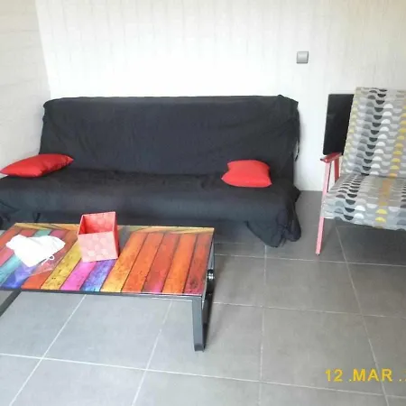 Joli Petit T4 Confortable Au Bord De Leau Vieille-Brioude Exterior photo